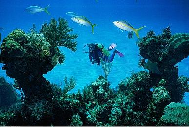 《妮姬：胜利女神》情人节活动曝光 完美女仆登场